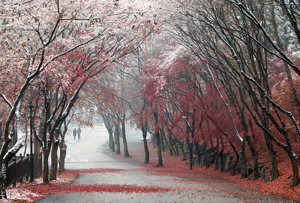 rest von HAN dong hee