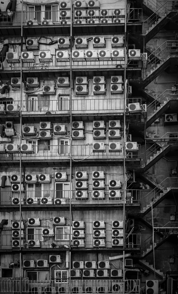 fans von HAN dong hee