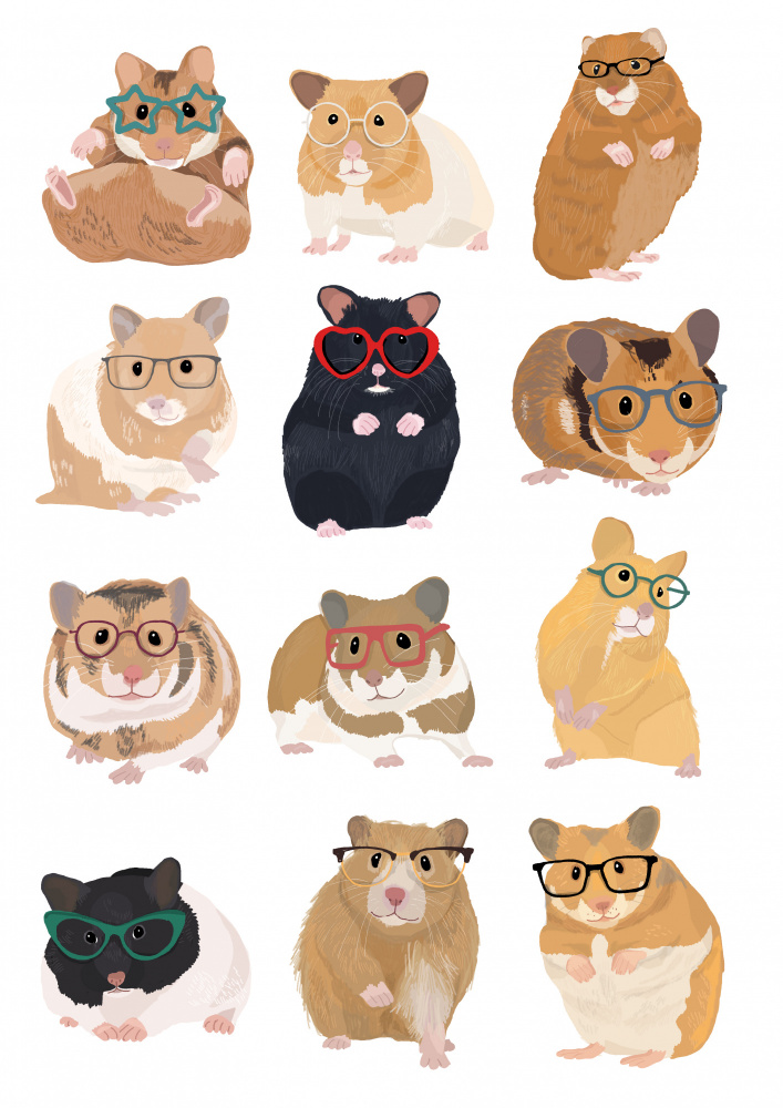 A1 Hamsters In Glasses von Hanna Melin