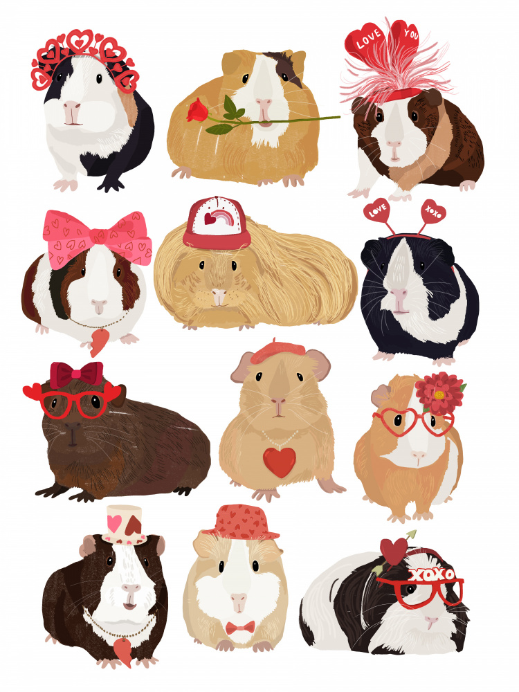 Love Guinea Pigs von Hanna Melin