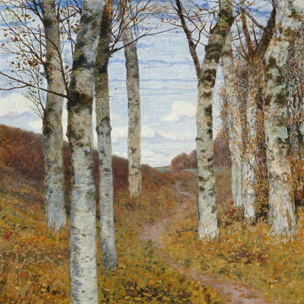Birken im Herbst von Hans am Ende