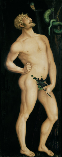 Adam. von Hans Baldung Grien