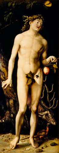 Adam von Hans Baldung Grien