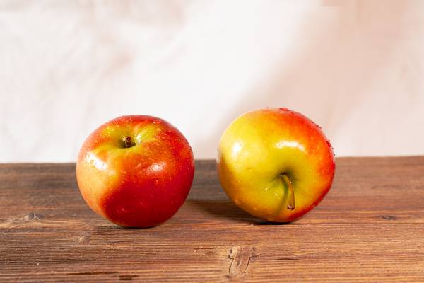 Äpfel von Hans Joachim Wilke