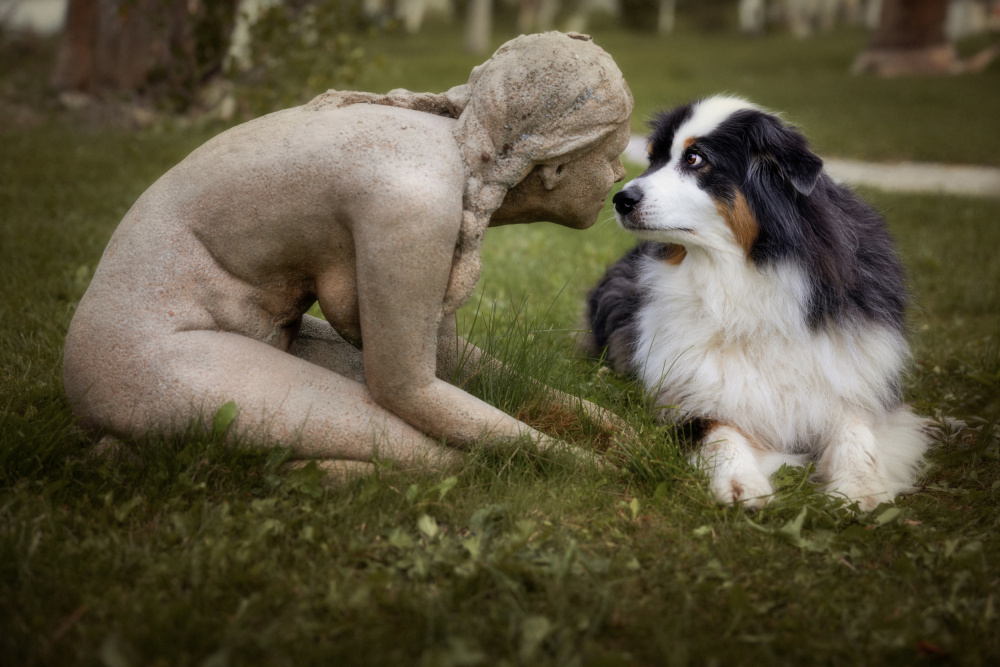 At first sight von Hans Repelnig