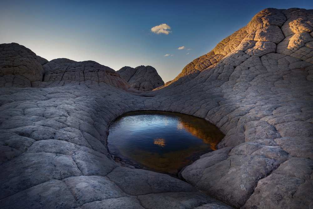 Untitled von Hans Repelnig