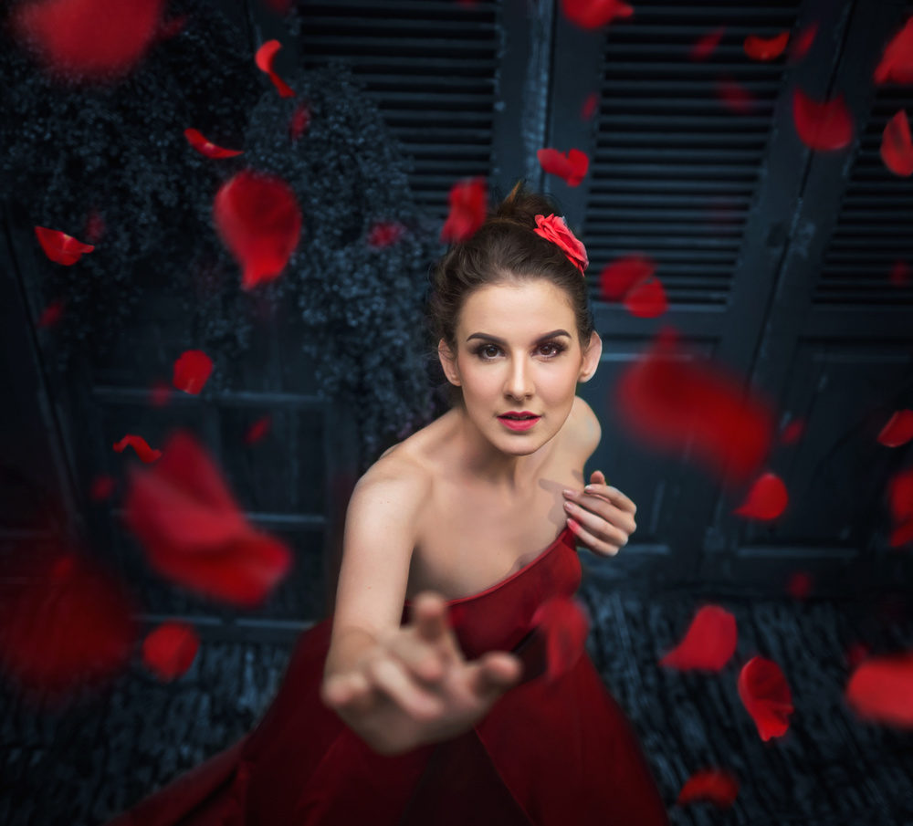 La vie en Rose von Hardibudi