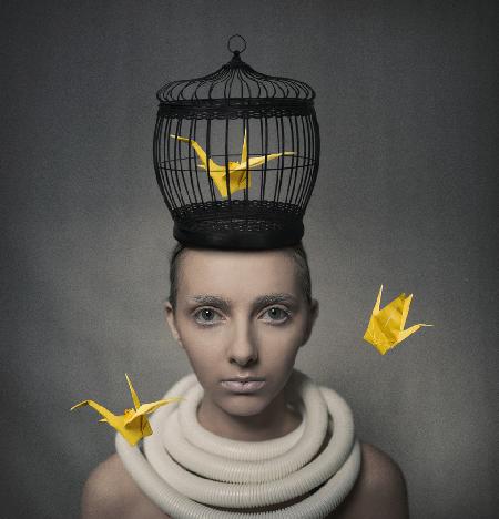 A Poem of Yellow Cranes