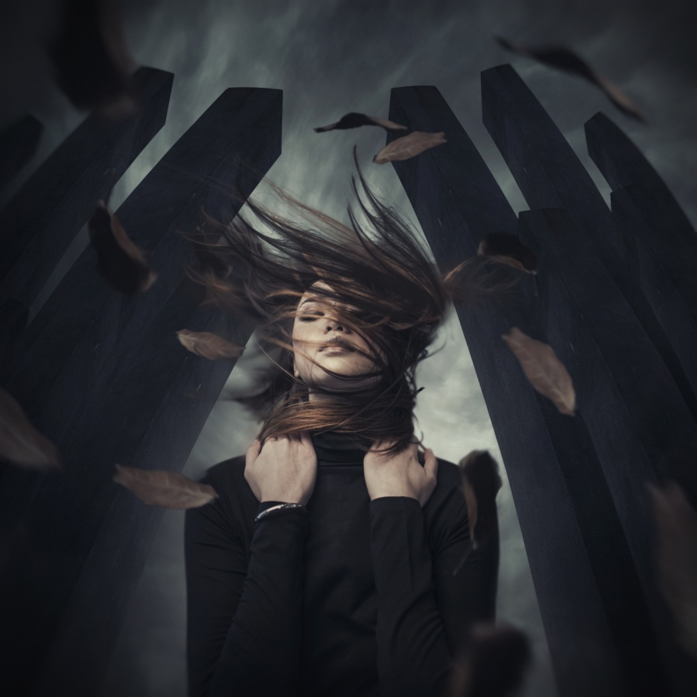 Story of black sparrow von Hardibudi