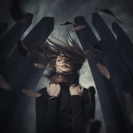 Story of black sparrow