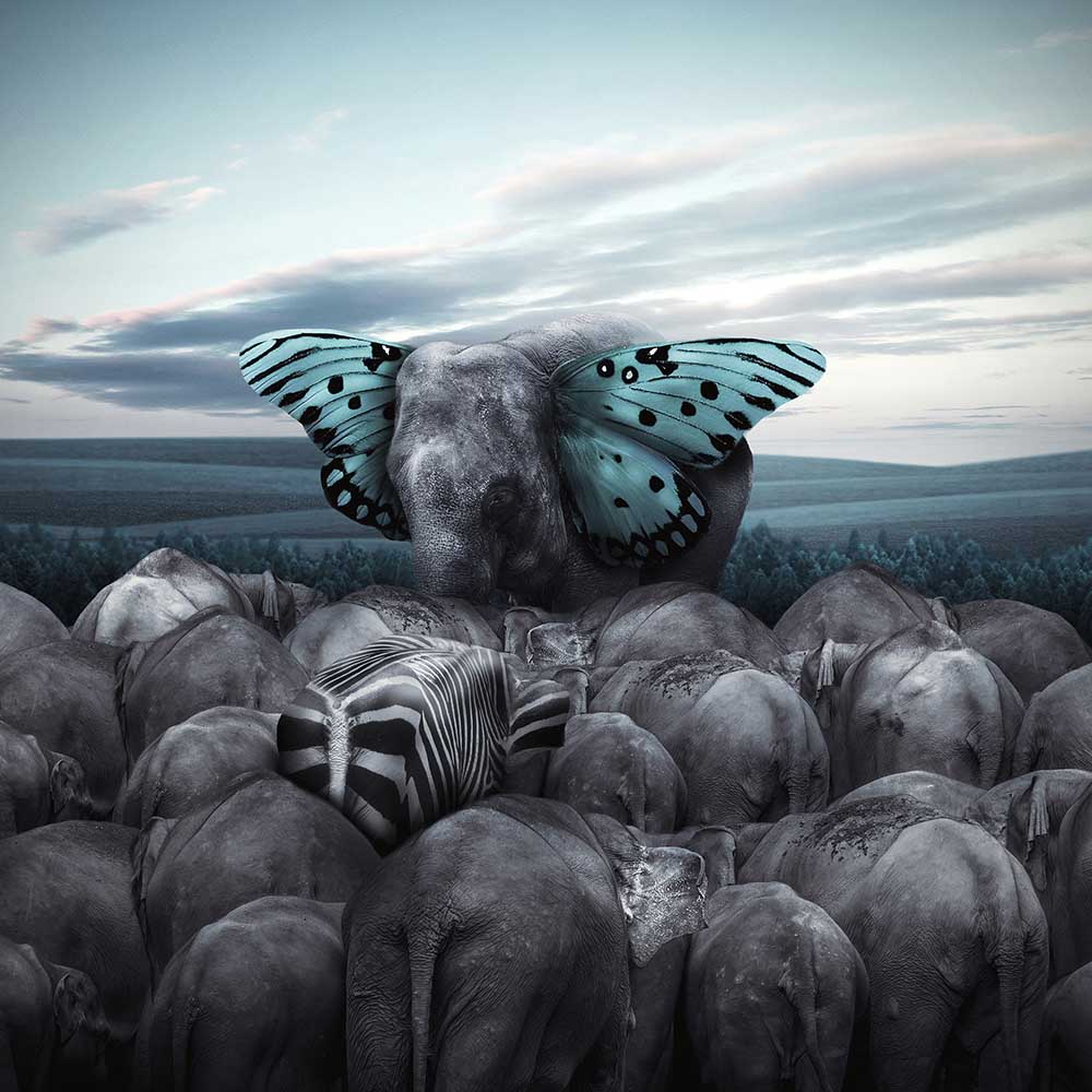 Heil dem König von Hardibudi