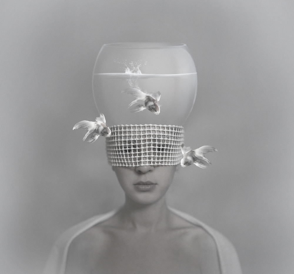 HeadQuarium von Hardibudi