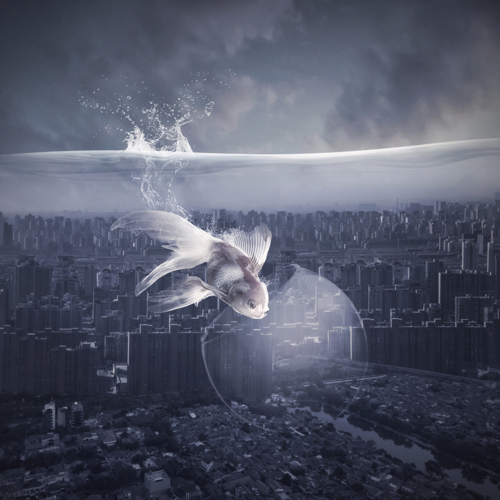 Going Home von Hardibudi