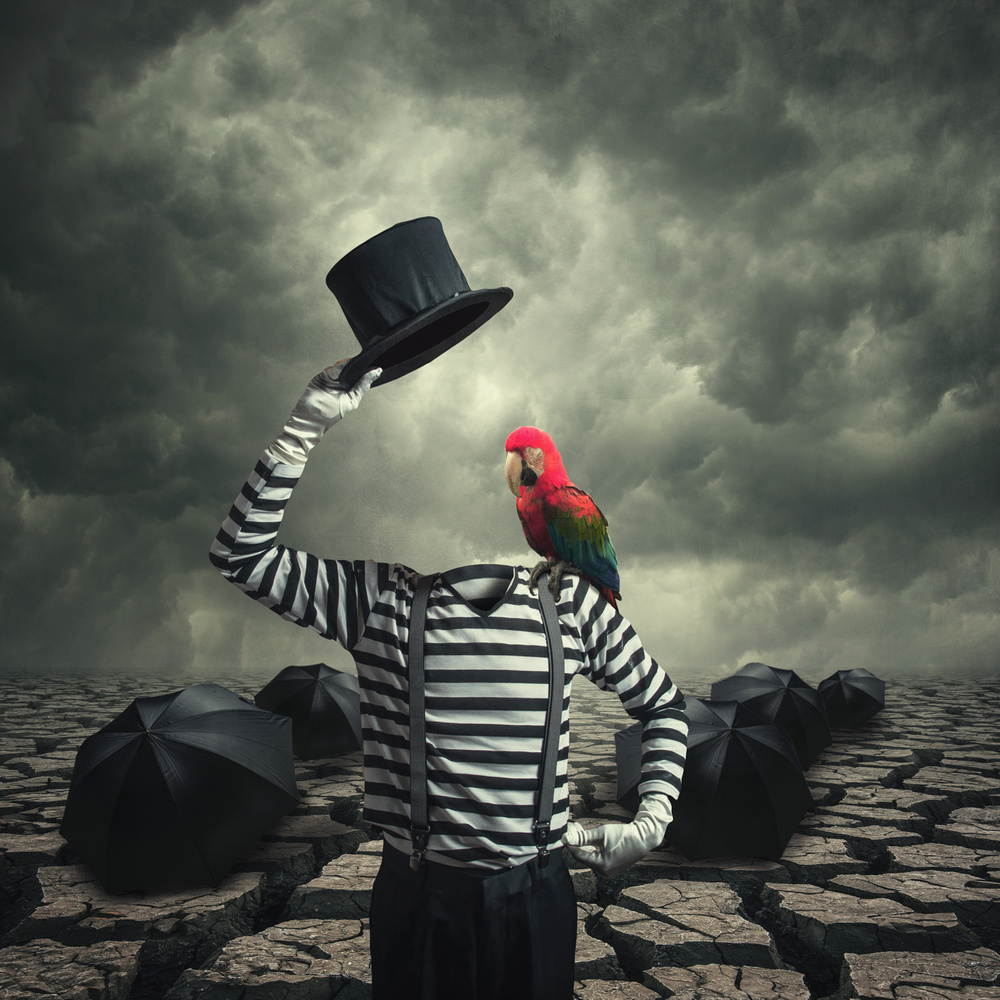 Say without words von Hardibudi