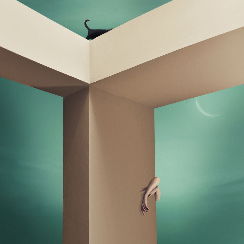 Seek and Ye Shall Find  - Y von Hardibudi