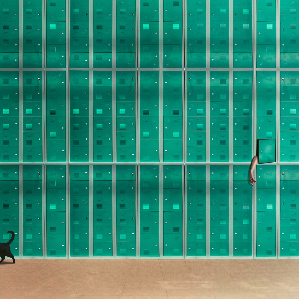 Seek and Ye Shall Find  - Z von Hardibudi