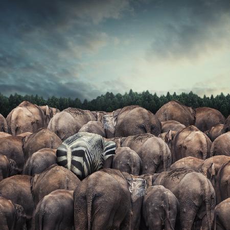 Dare to be different