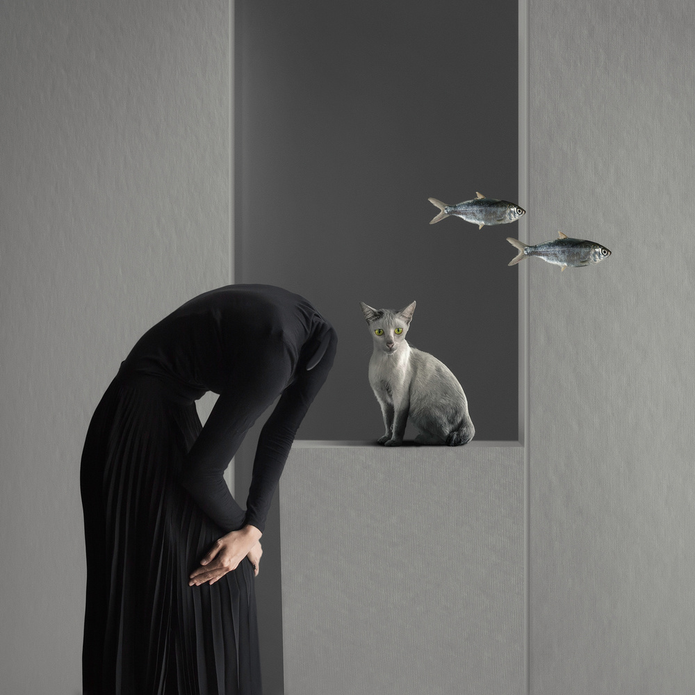 Who moved my fish  ( dialogue ) von Hardibudi