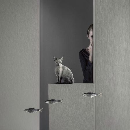 Who moved my fish  ( epilogue )