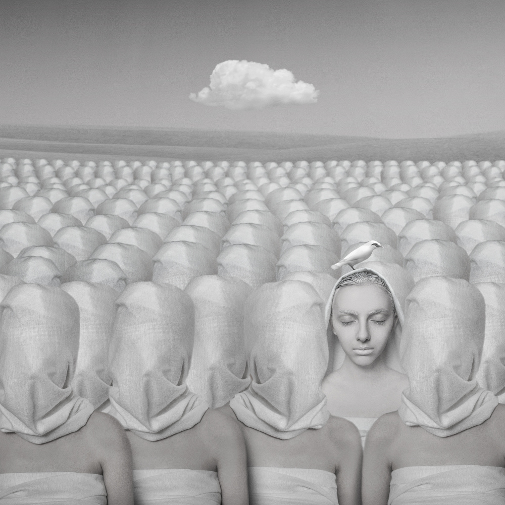 Winter Rhapsody von Hardibudi