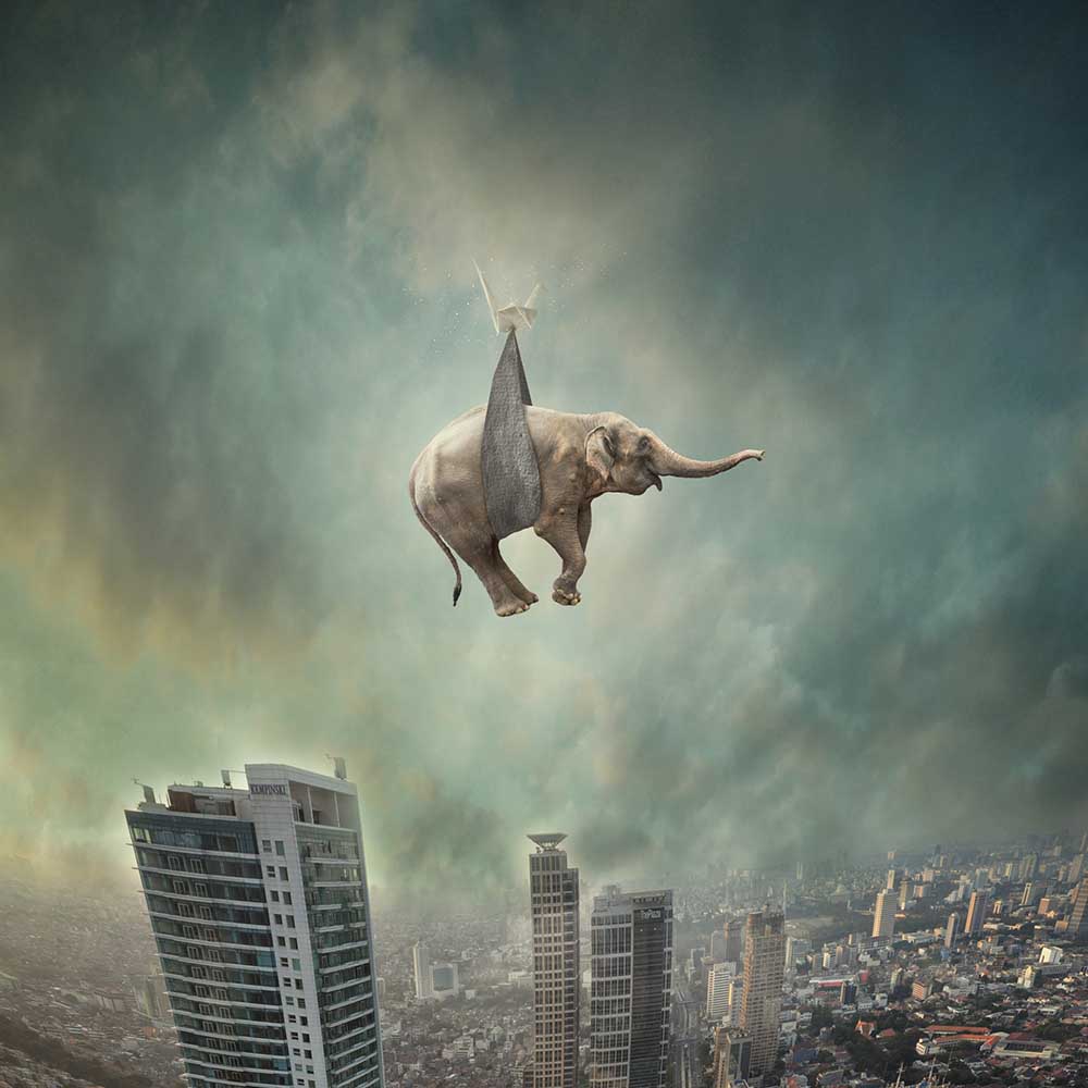 Wohin du auch gehst von Hardibudi