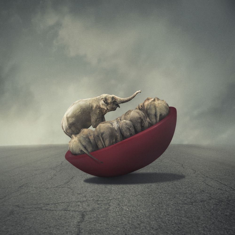 Das Leben ist ein Gleichgewicht von hardibudi