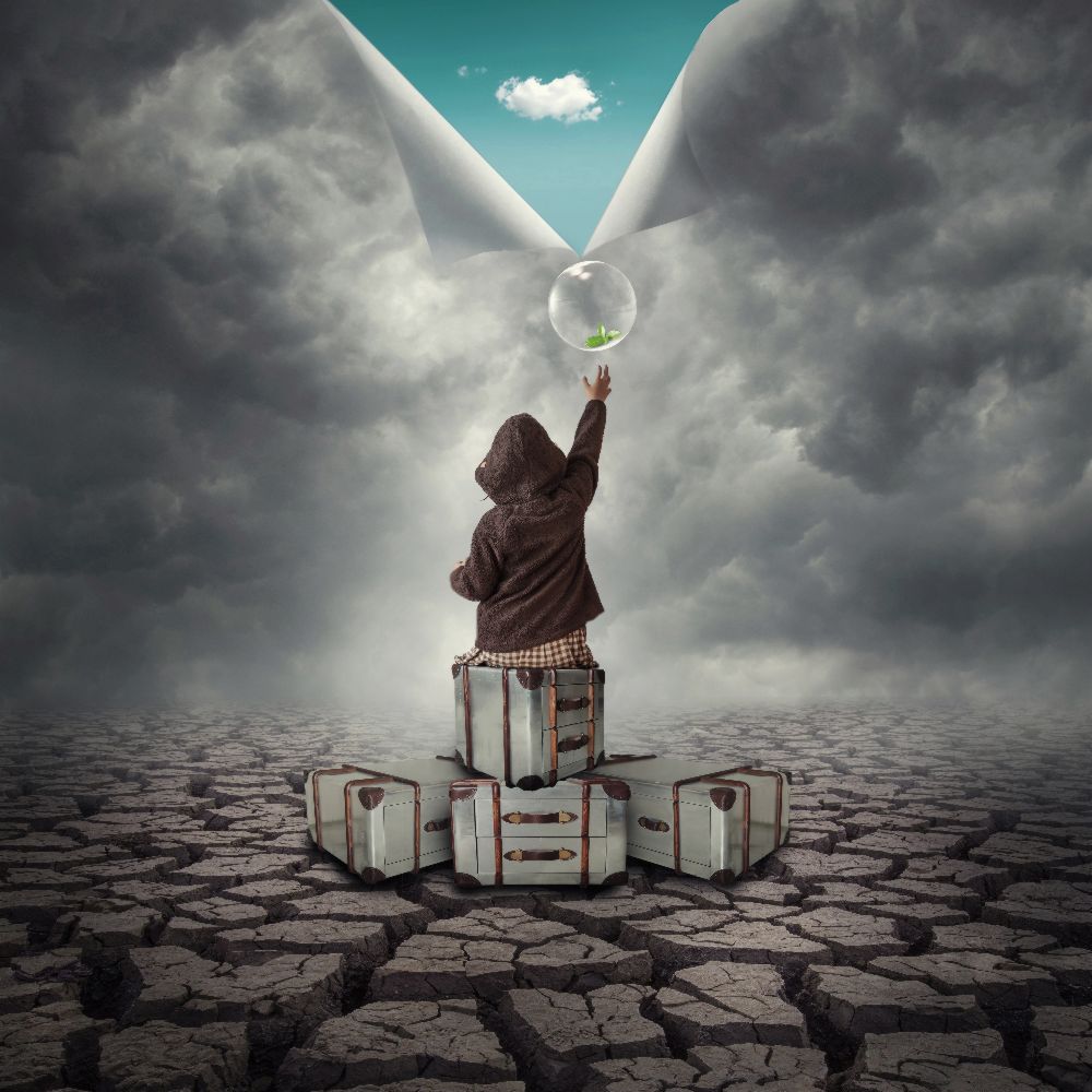 Hoffen von hardibudi