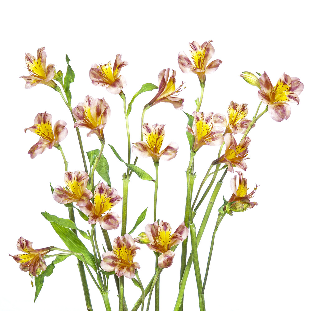 untitledl von Hardik Pandya