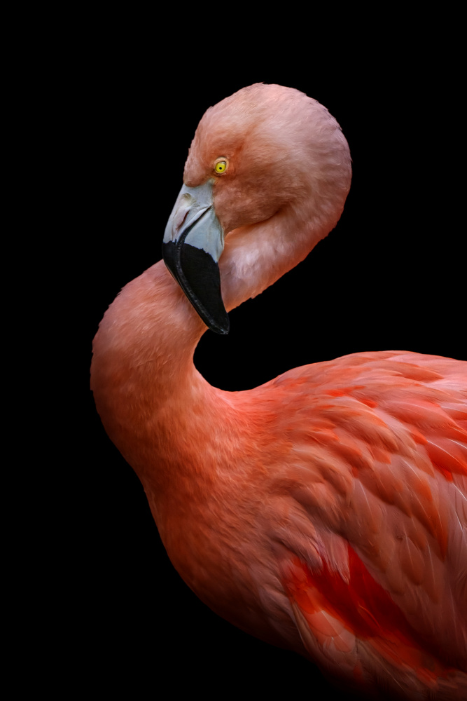 untitledl von Hardik Pandya