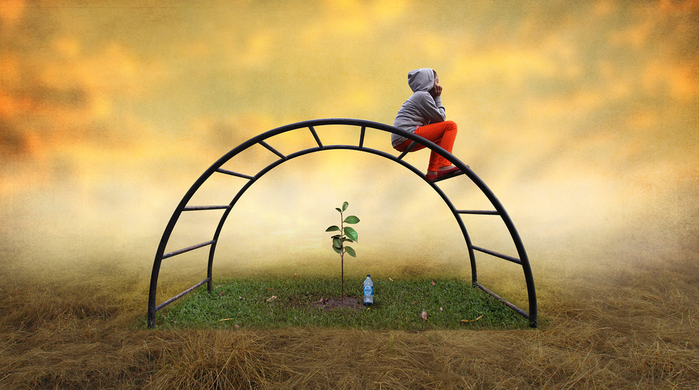 the last green zone von Hari Sulistiawan