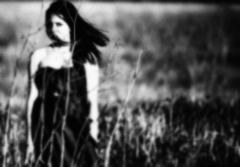 nt von Hari Sulistiawan