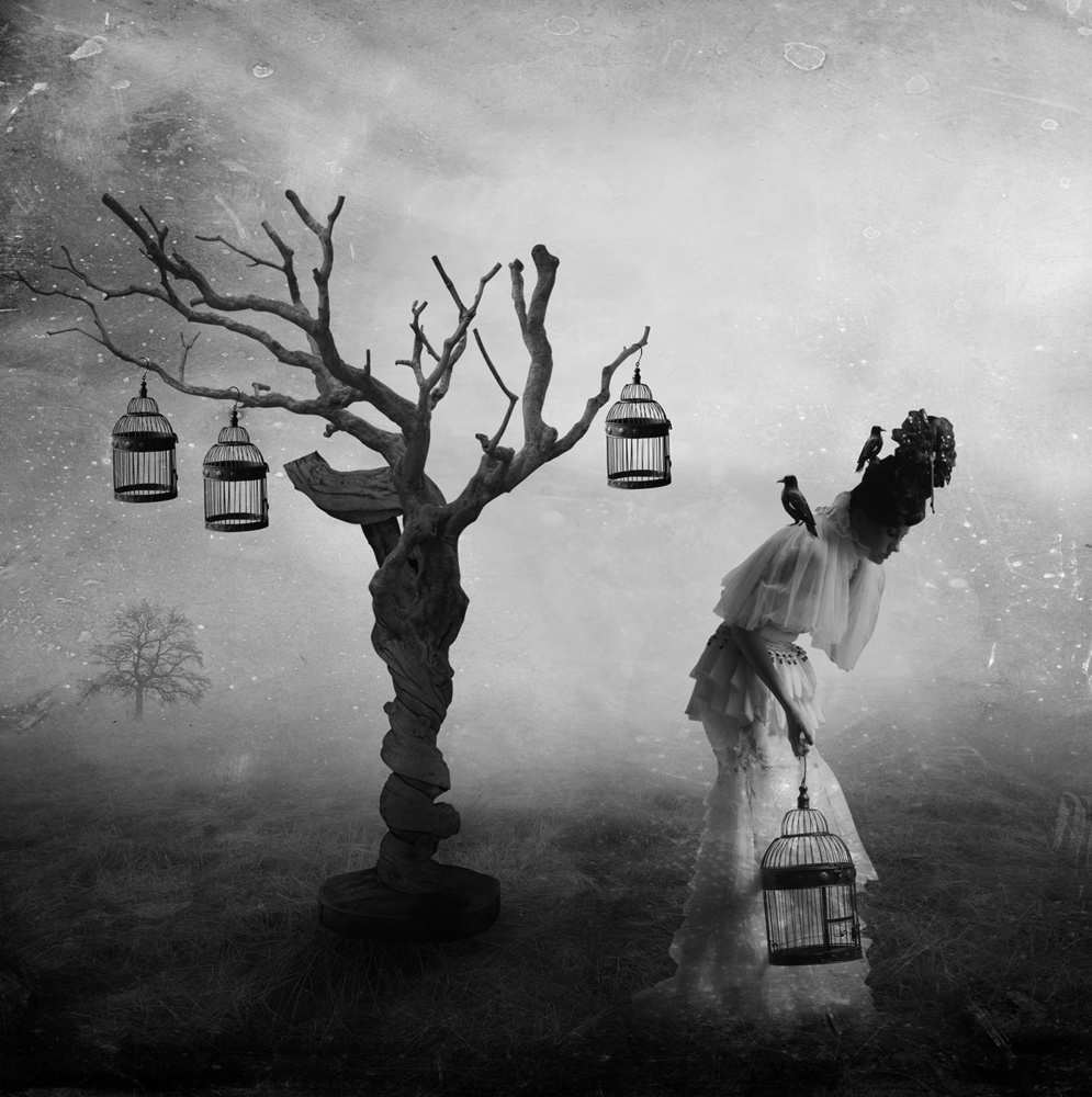 Putri Manuk von Hari Sulistiawan