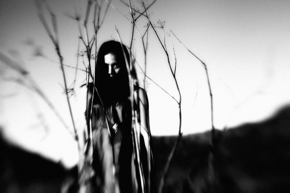 daydream branches barren von Hari Sulistiawan