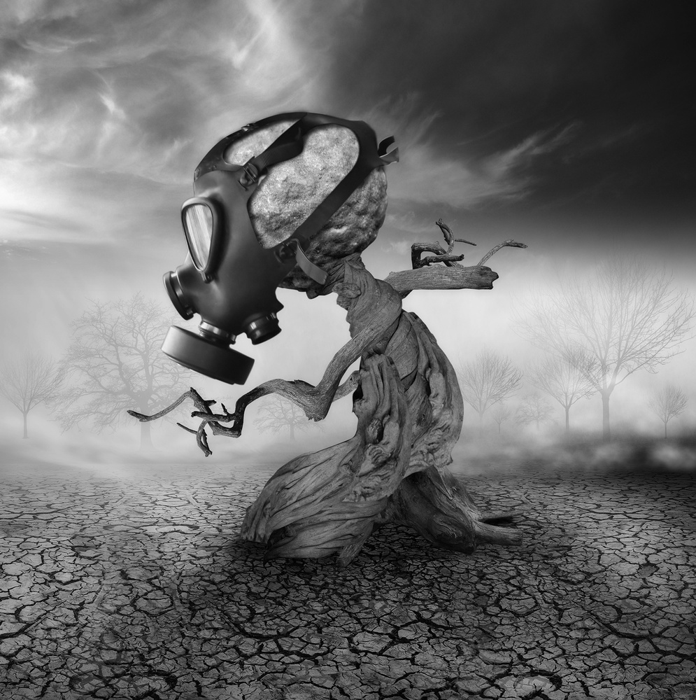 Dead Wish von Hari Sulistiawan