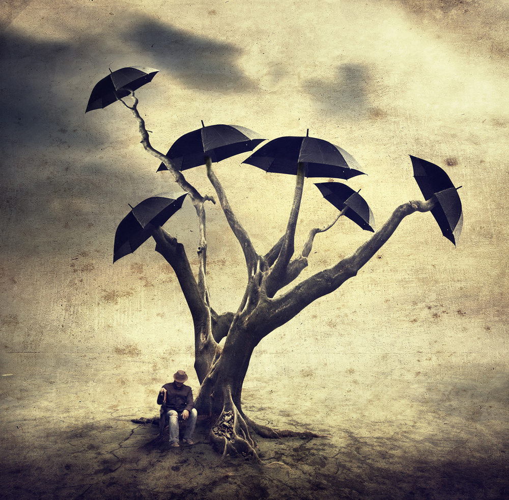 Waiting man and the umbrella tree von Hari Sulistiawan