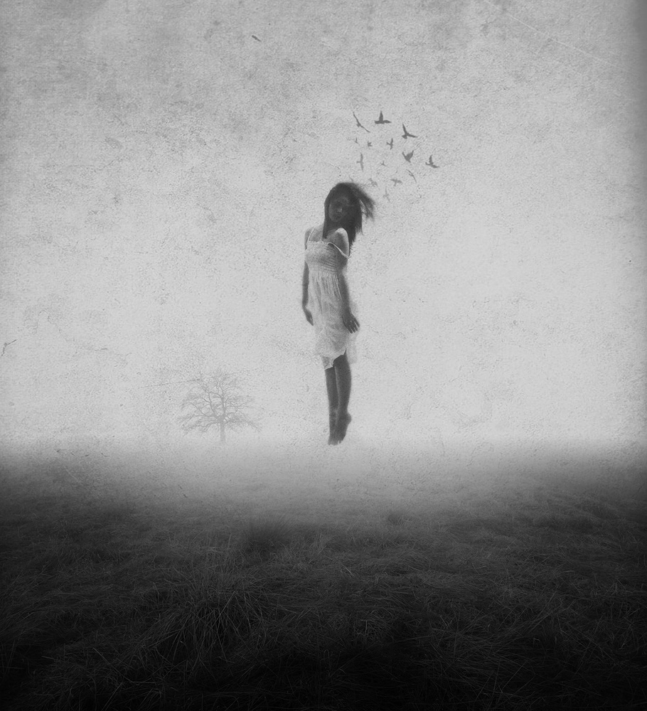 fly away von Hari Sulistiawan