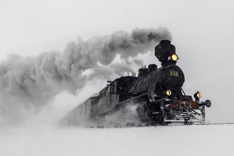 Little-Jumbo von Harriaho.com