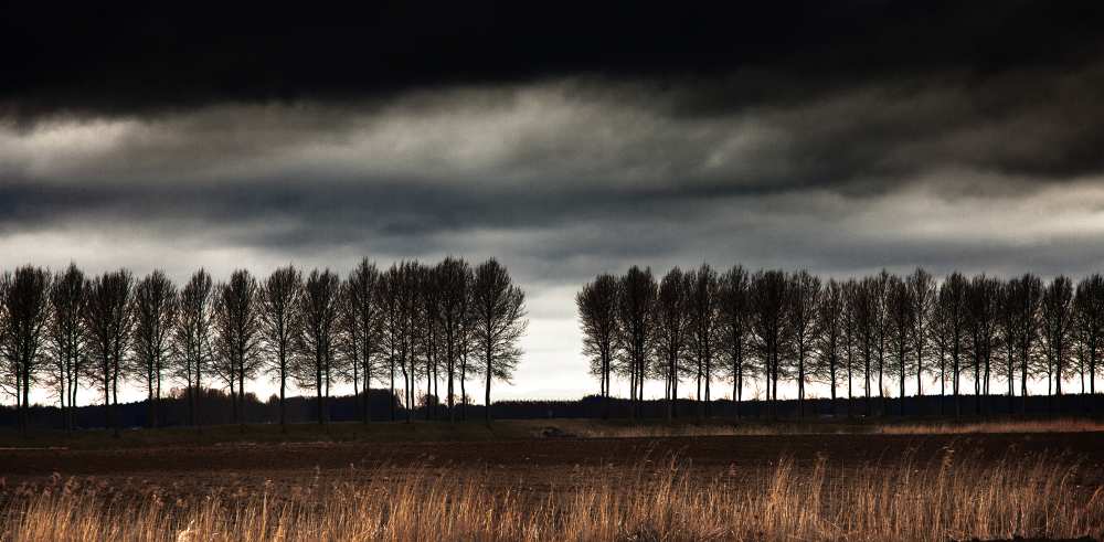 The space between. von Harry Verschelden