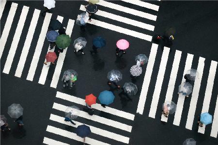 Flowers of the crossroads