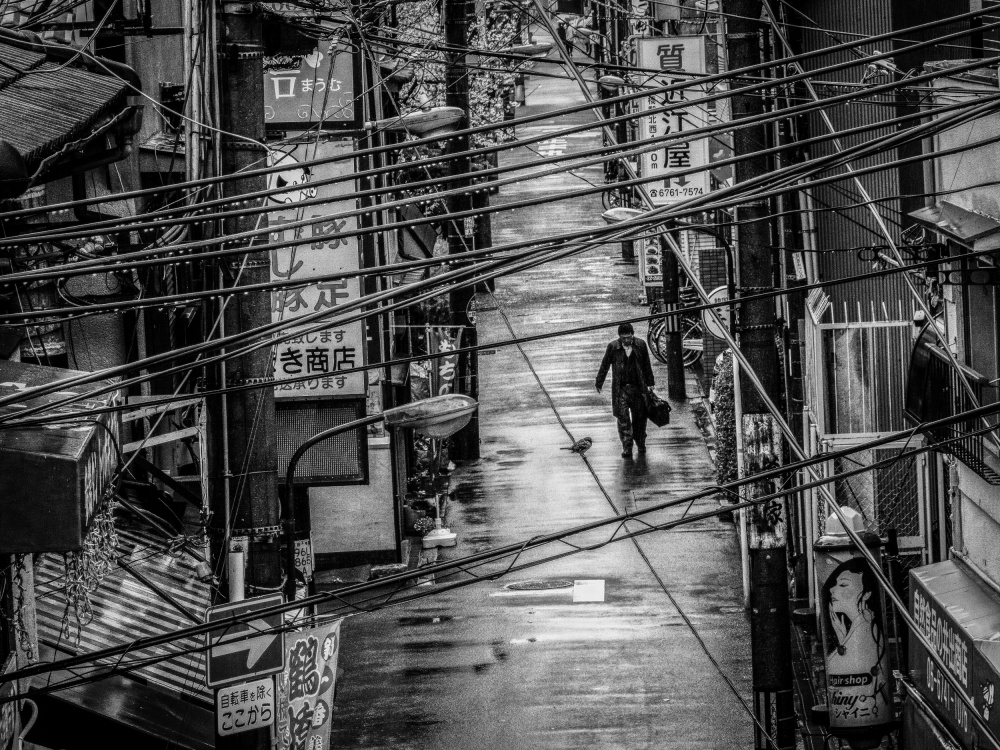 Untitled von Haruyo Sakamoto