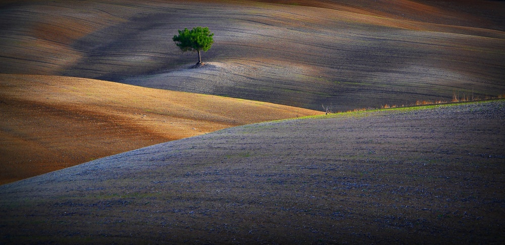 ++++ von Hasan Hizli