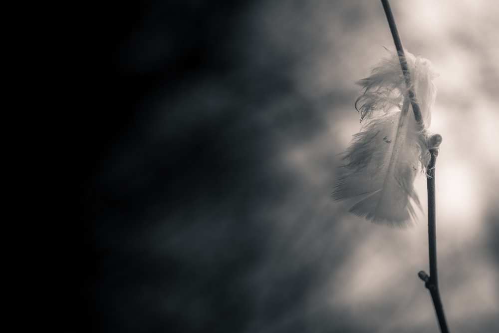 Left Behind von HatCat Photography