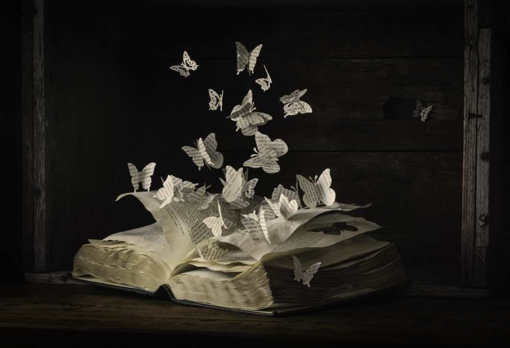 Lepidopterology von Heather Bonadio