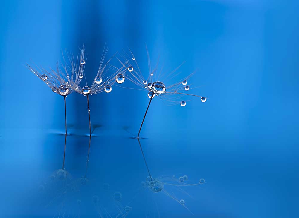 Blauer Spaß von Heidi Westum