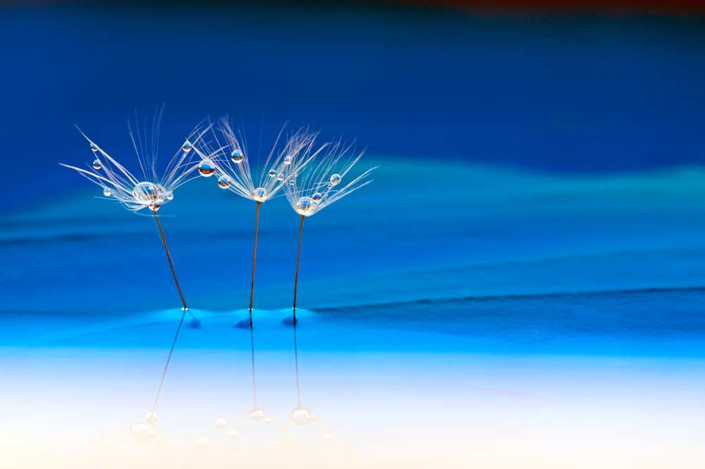 Blue landscape von Heidi Westum