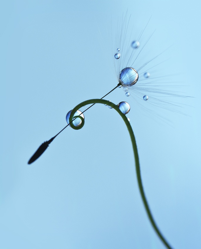 The Blue Arrow von Heidi Westum