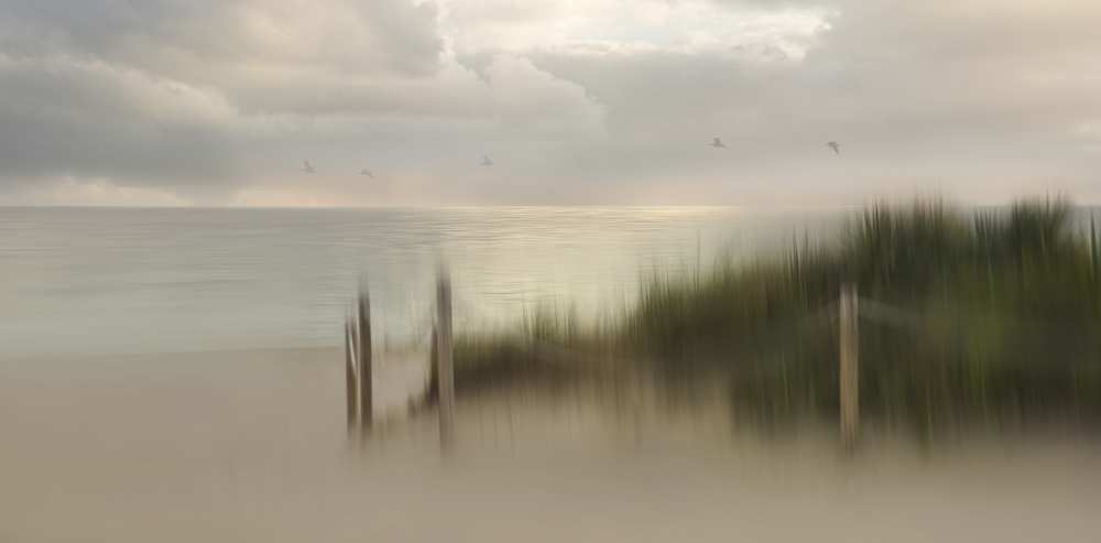 Early bird von Heidi Westum