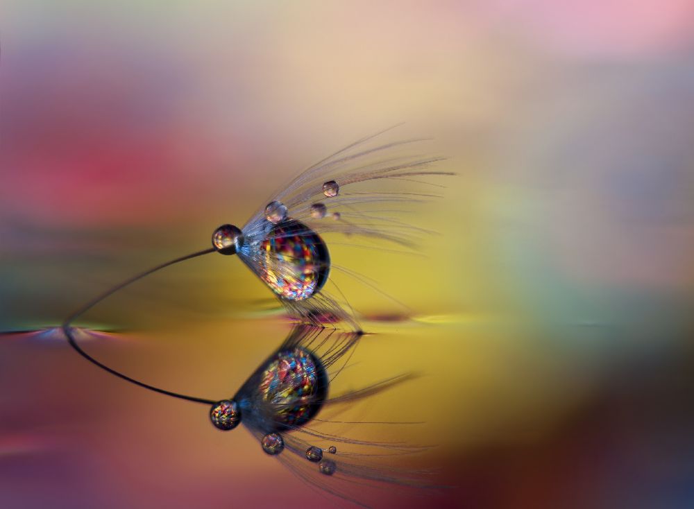 Färbe die Dunkelheit ein von Heidi Westum