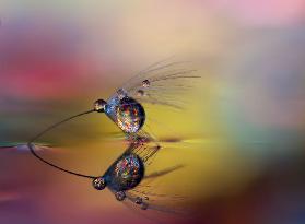 Färbe die Dunkelheit ein