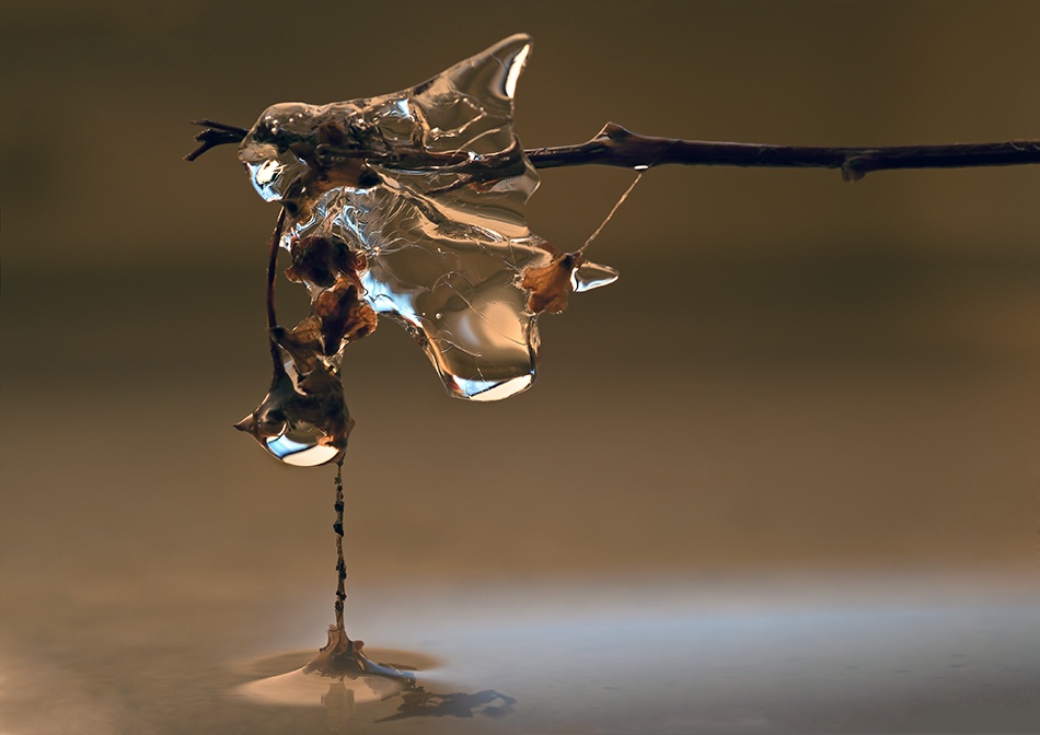 Nature's art von Heidi Westum